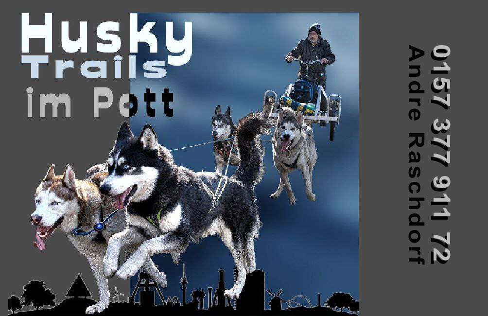 https://huskytrailimpott.000webhostapp.com/